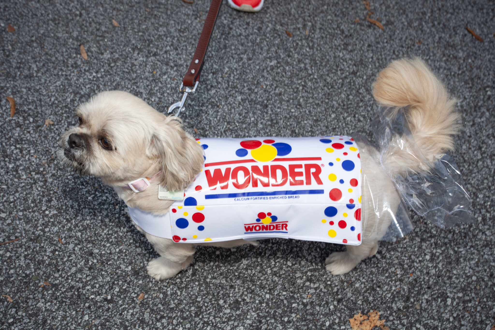 Wonder Bread Dog Costume Home and Geek